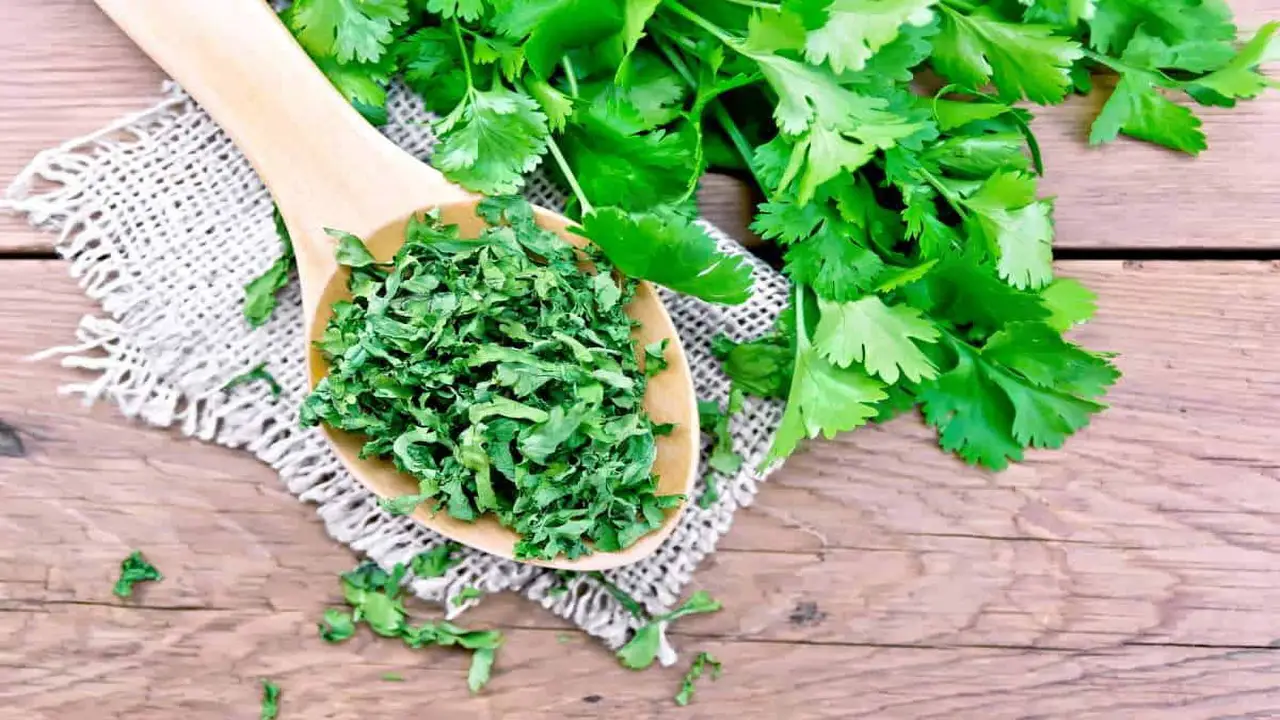 Combining Fresh Mint And Fresh Tarragon As A Replacement For Culantro