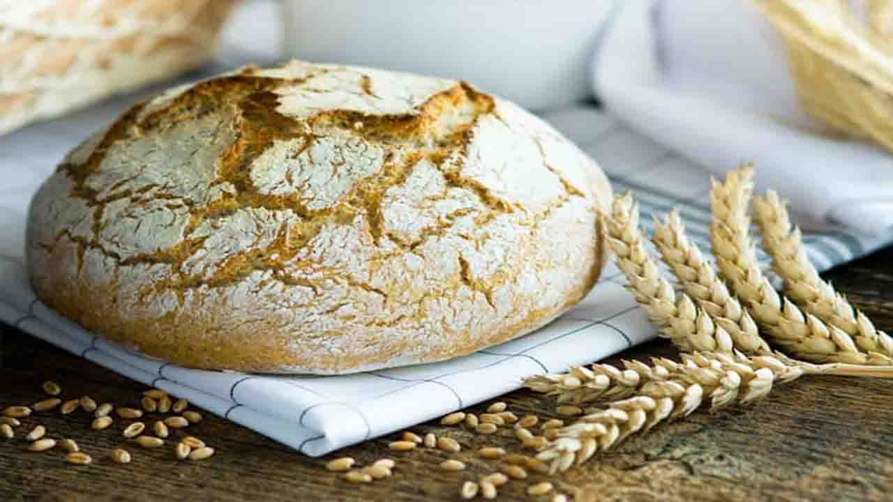 Cool And Serve The Tuscan-Bread