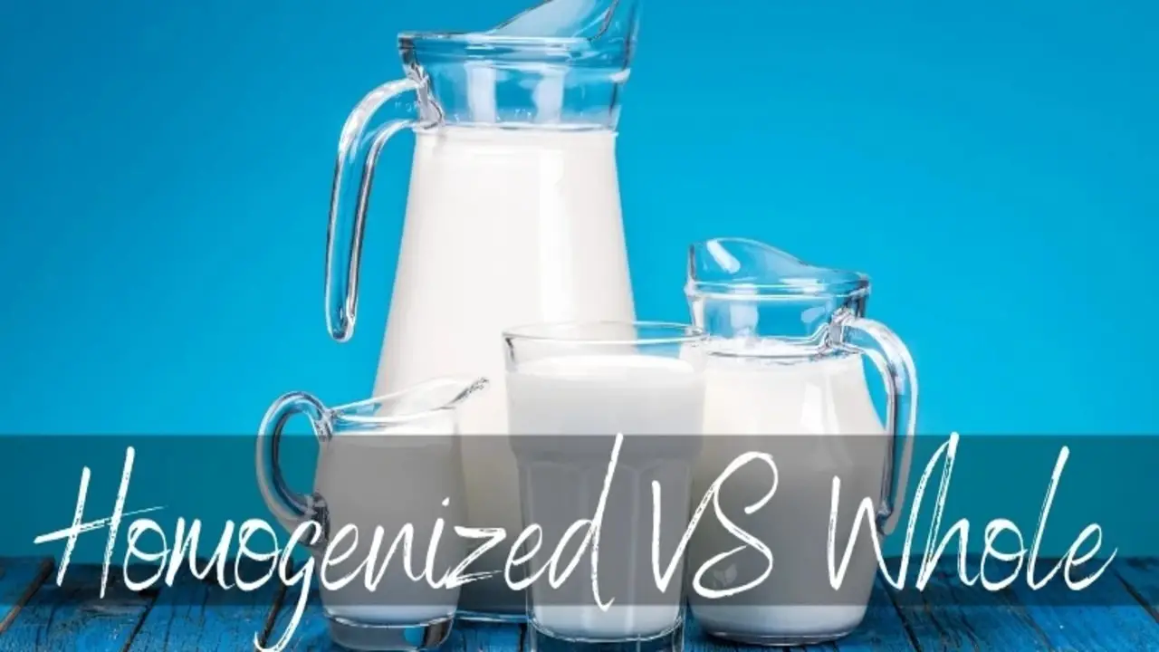 Flavor And Texture Homogenized Milk Vs Whole Milk