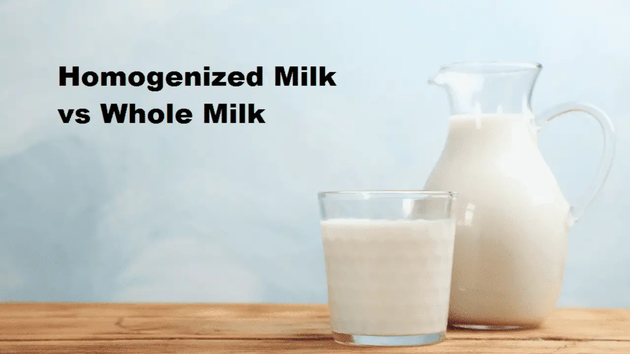 Homogenized Milk Vs Whole Milk - Understanding The Differences