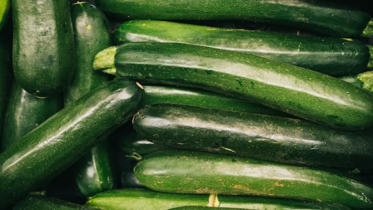 How To Measure Zucchini Weight At Home
