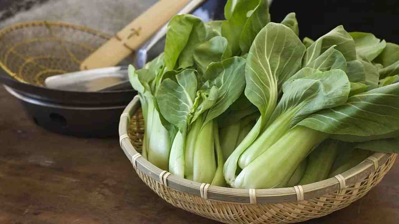 How To Select And Store Bok Choy