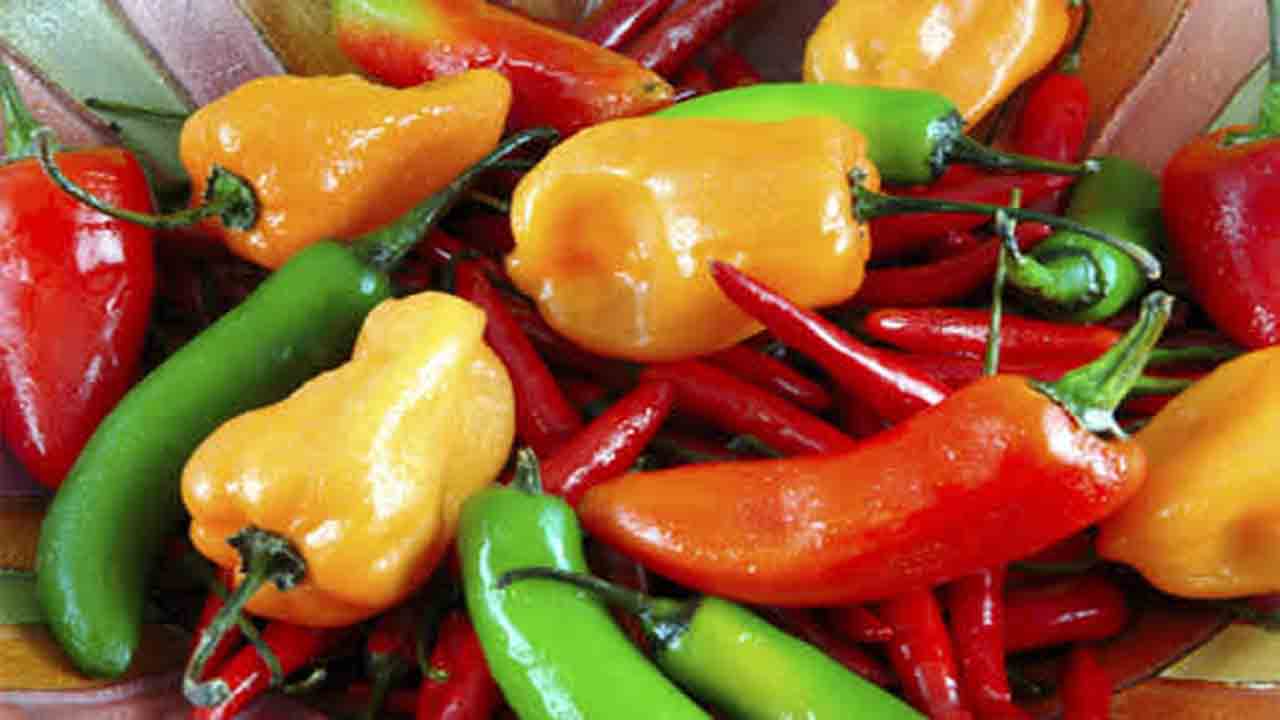 Incorporating The Peppers