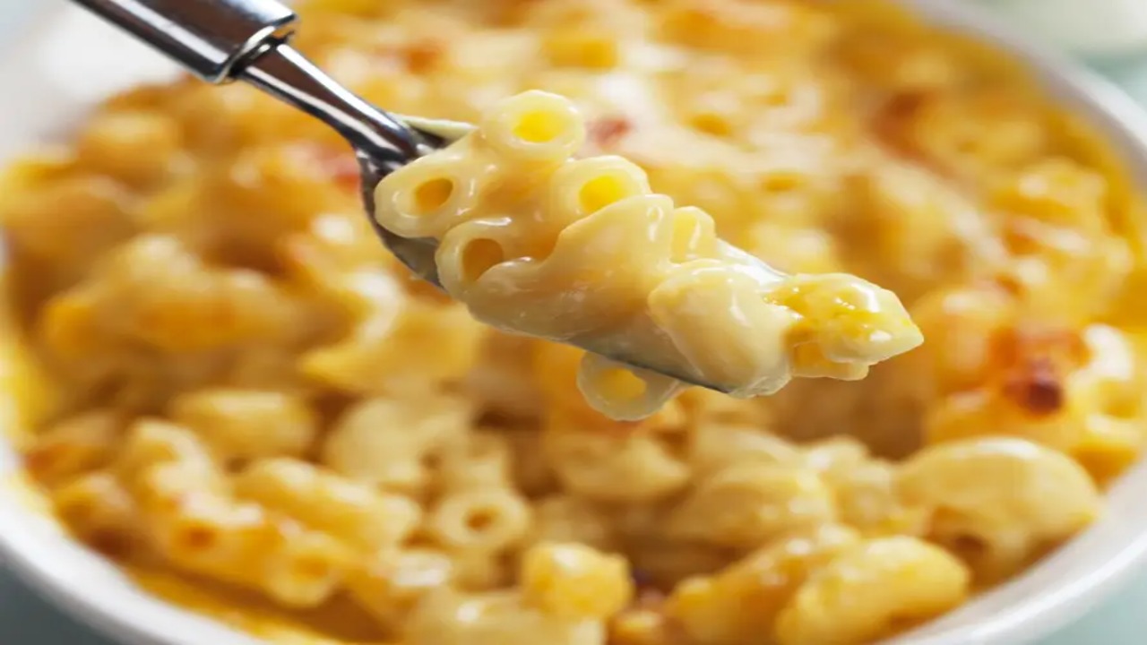 Introduction To Macaroni Crafts And Its Popularity