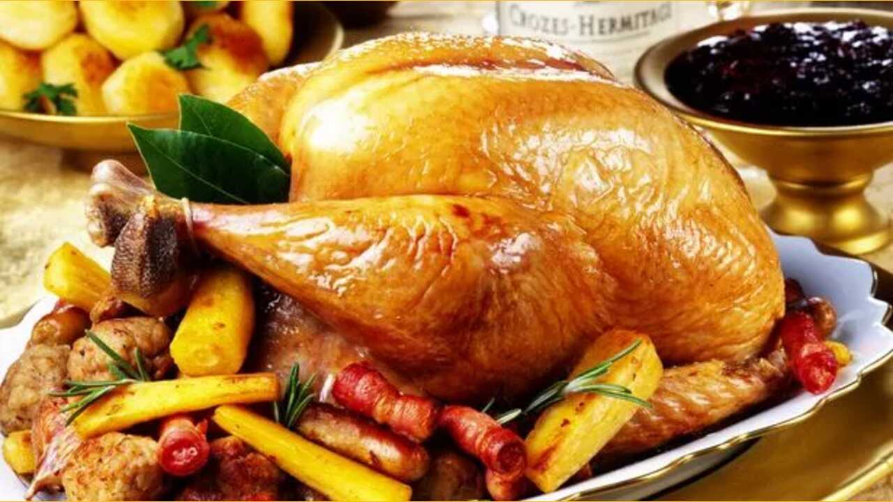 Safety Precautions When Handling An Evil-Turkey