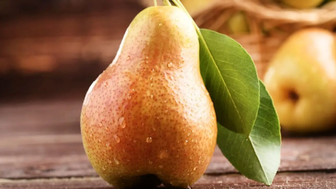 Storing And Ripening Bartlett And Anjou Pears