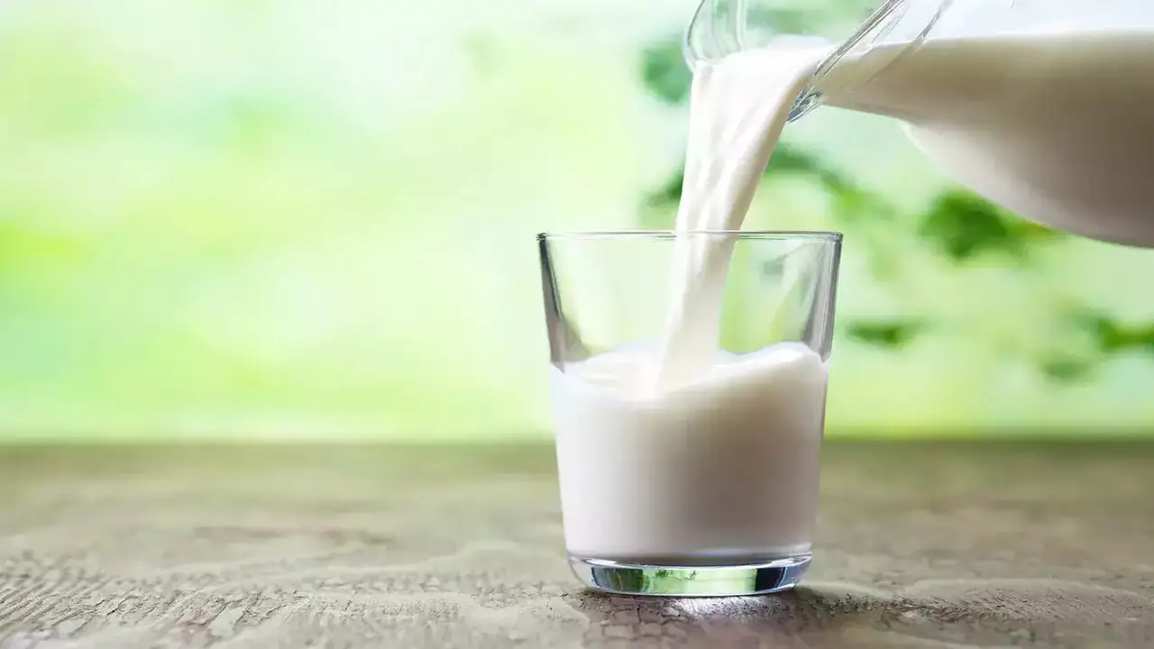 The Shelf Life Of Homogenized Milk
