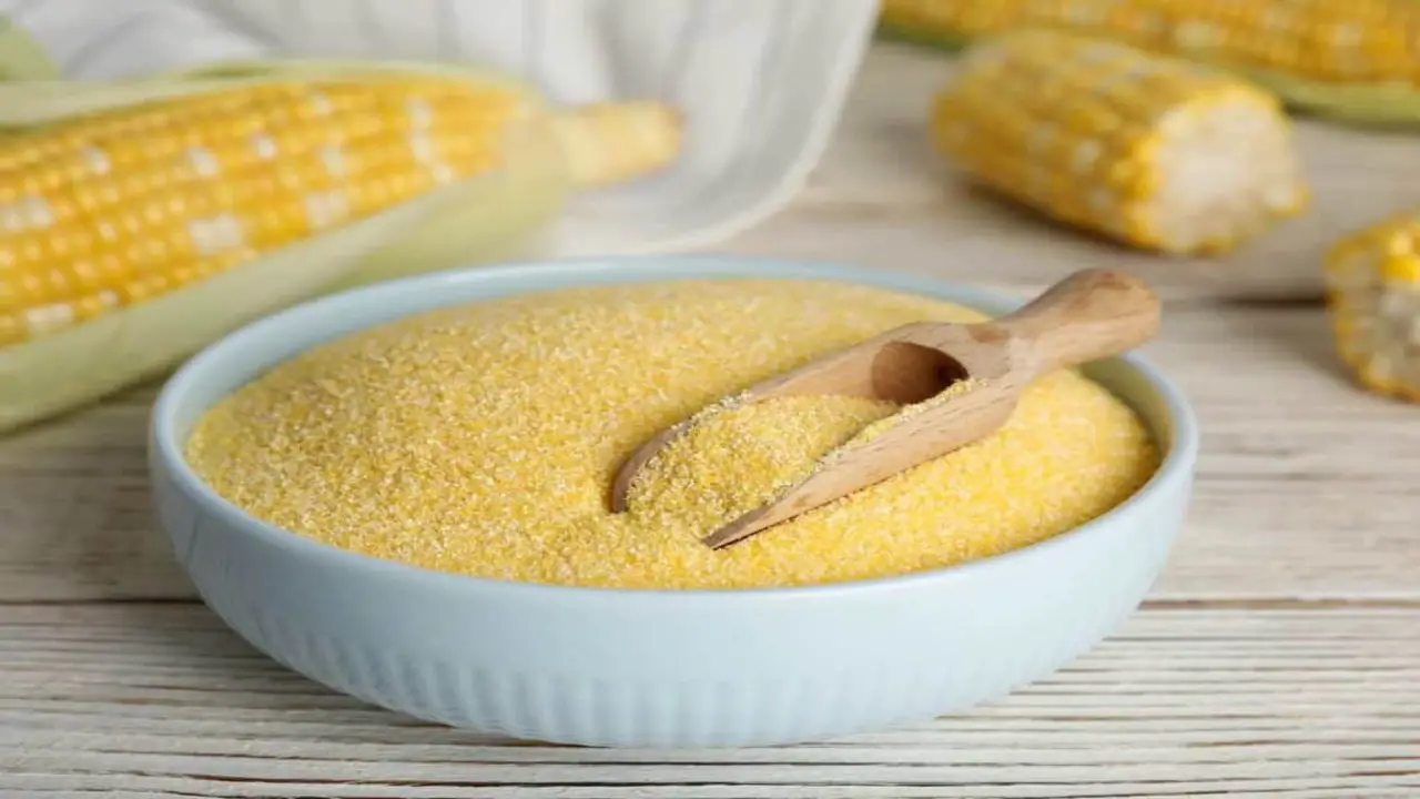 What To Do If You Find Cornmeal Black Specks