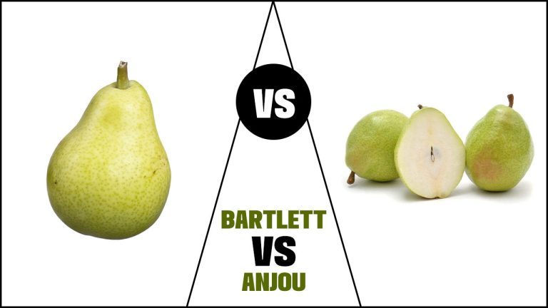 Bartlett Vs Anjou