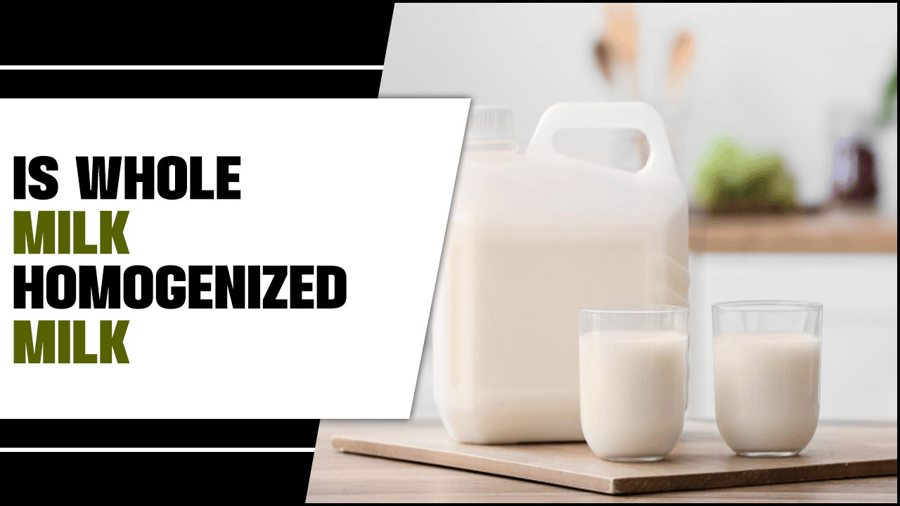 Is Whole Milk Homogenized Milk