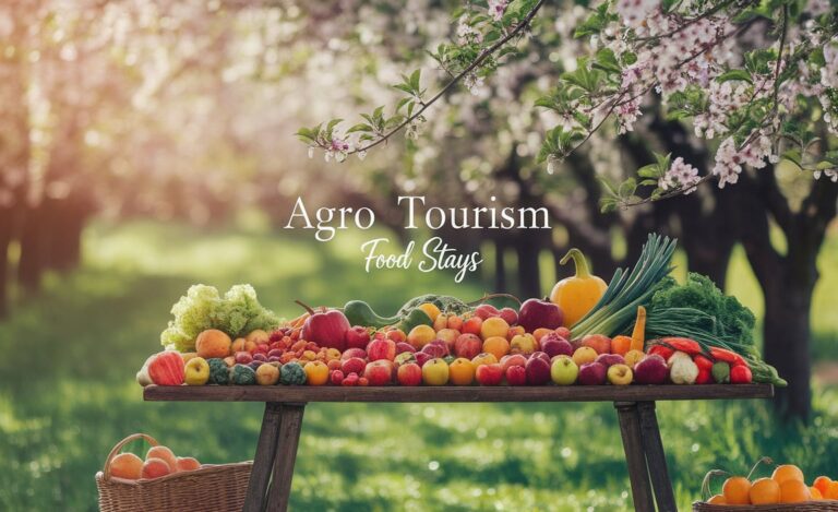 Agro Tourism Food Stays