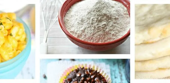 allergy friendly food trips