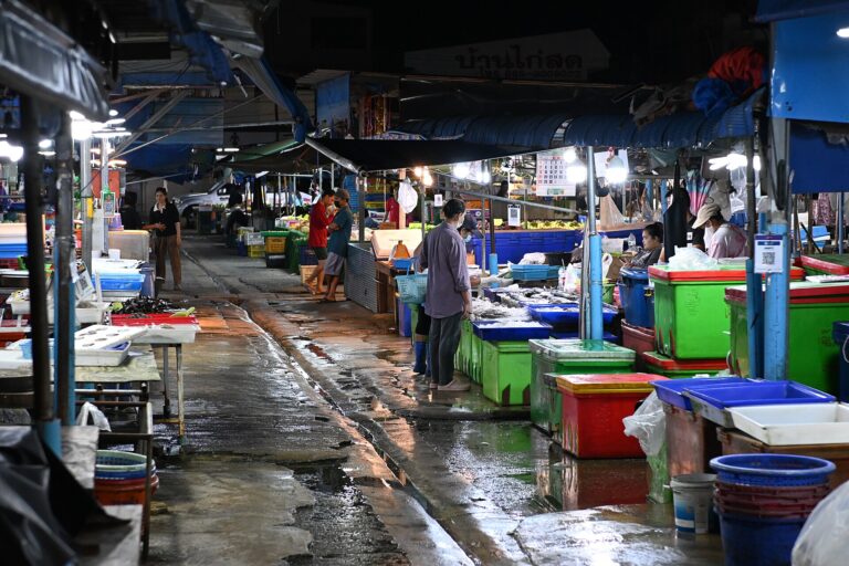 Wet market in Asia
