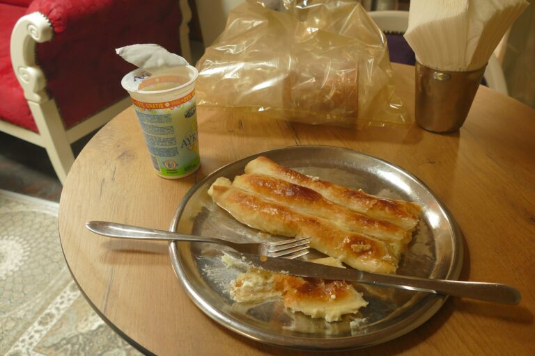 Bosnian burek