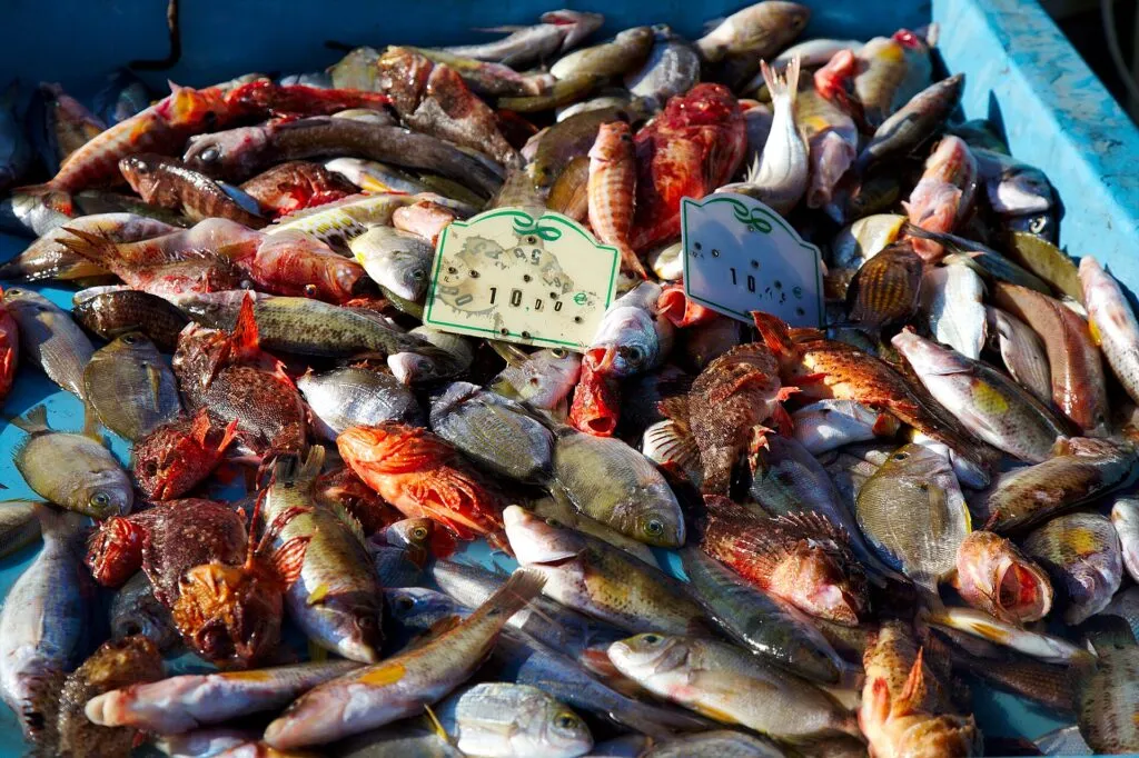 Bouillabaisse from Marseille