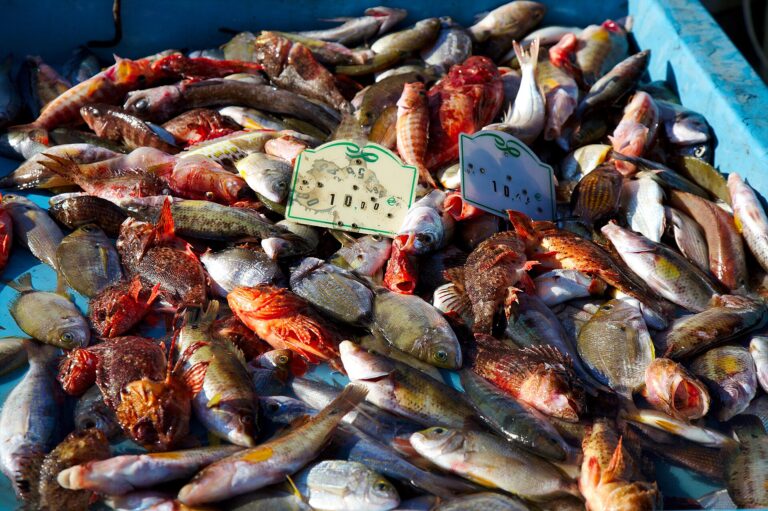 Bouillabaisse from Marseille