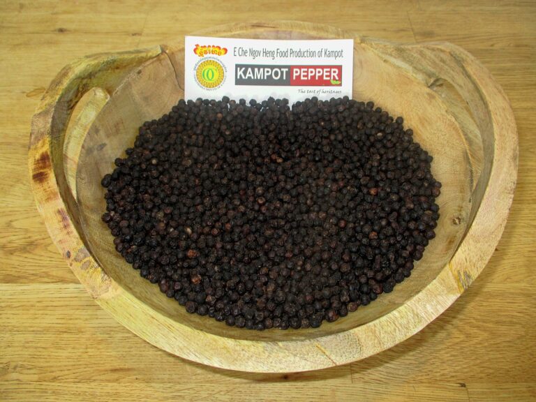 Kampot pepper plantation
