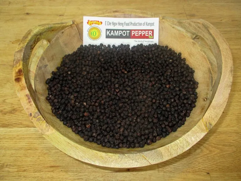 Kampot pepper plantation
