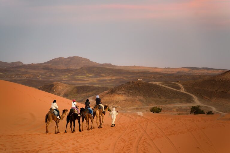 Camel caravan in the Moroccan Sahara
