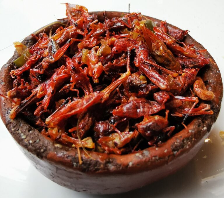 Chapulines (grasshoppers) in Oaxaca