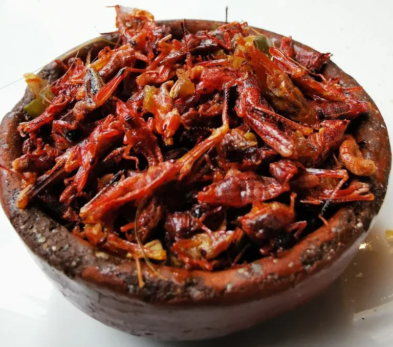 Chapulines (grasshoppers) in Oaxaca
