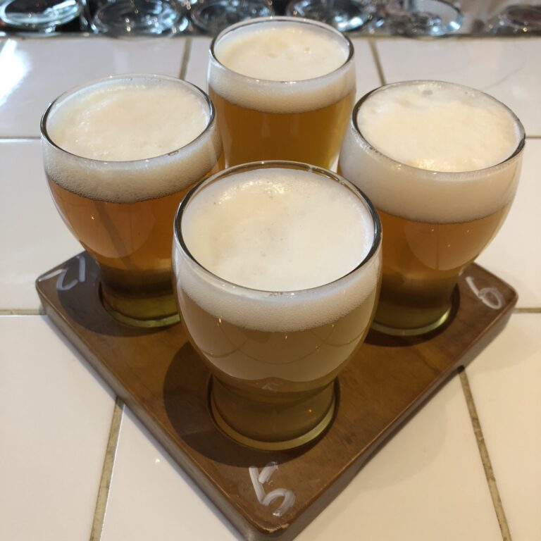 Craft beer tasting