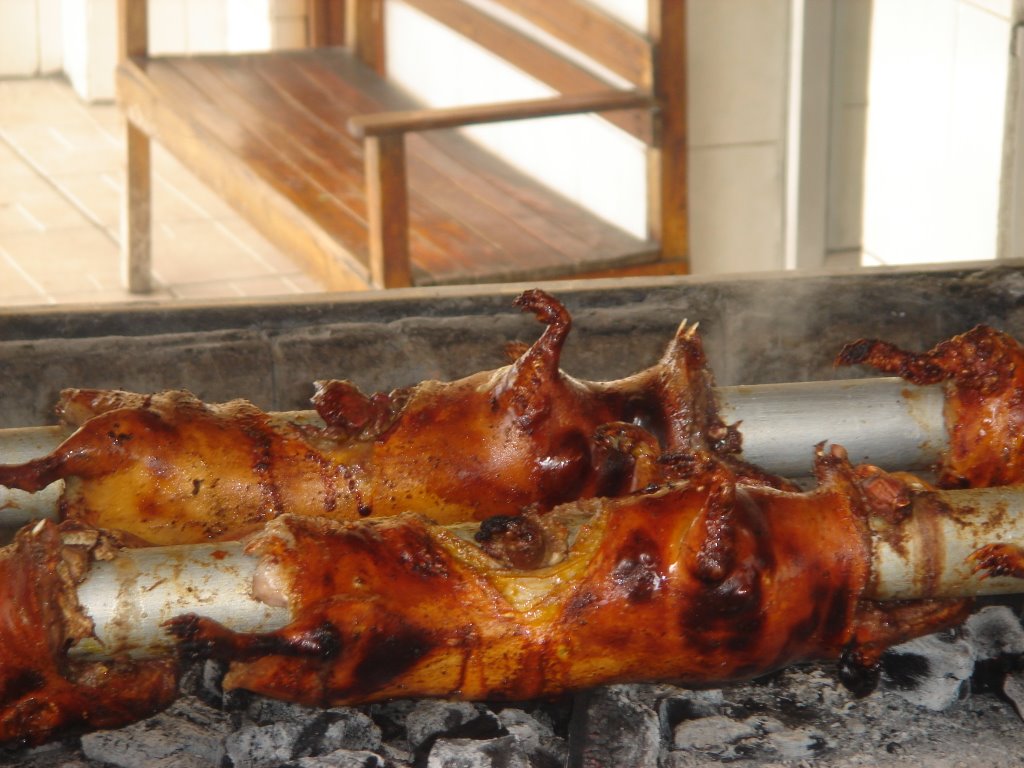 Roasted cuy in Ecuador