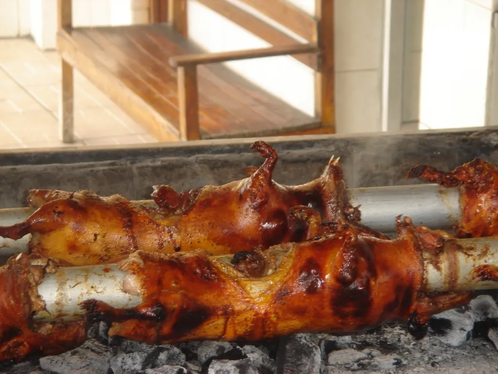 Roasted cuy in Ecuador