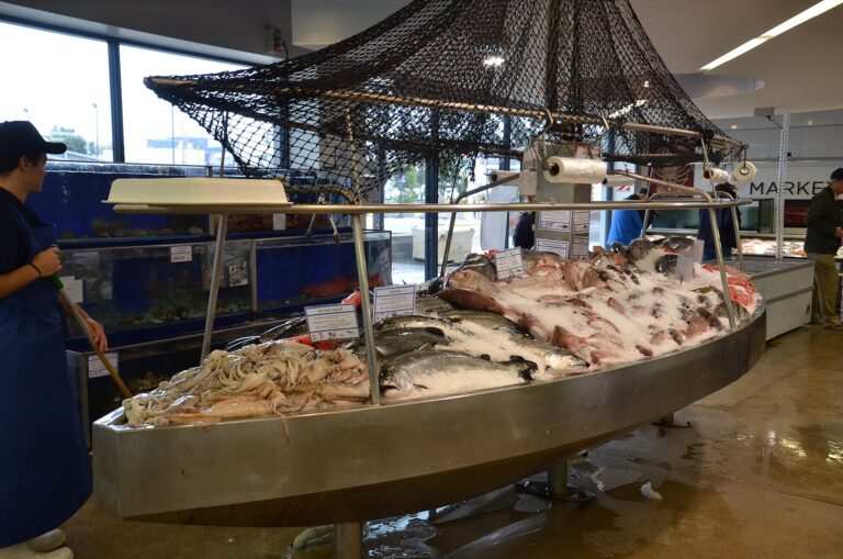 Fresh seafood at a fish market