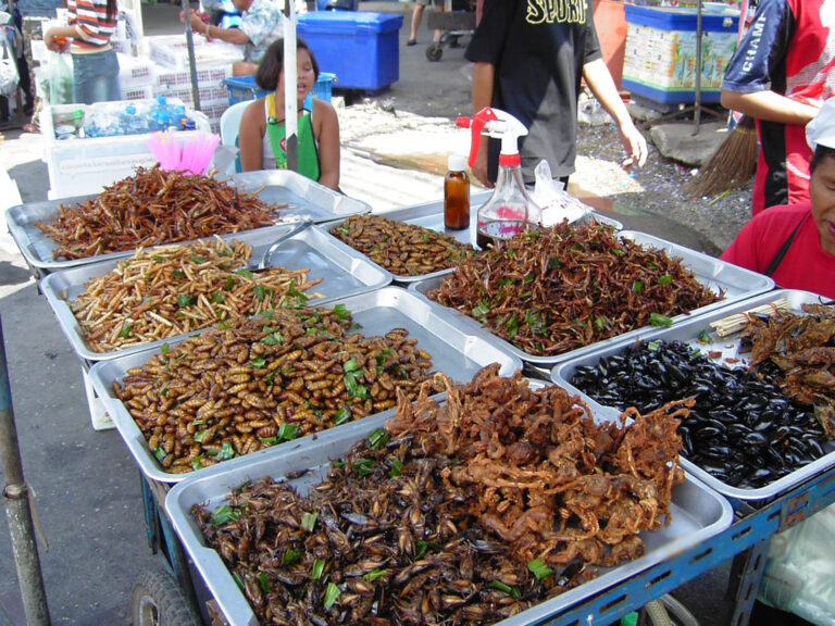 Street food stall in Bangkok
